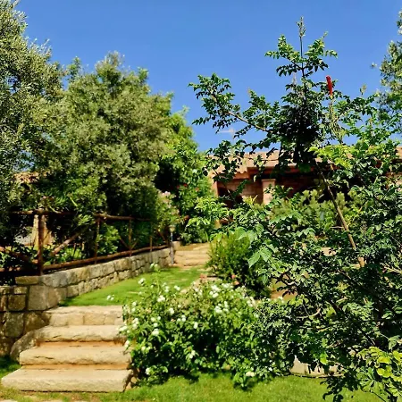 Laura, Fronte Piscina E Giardino Privato 维拉西米乌斯